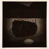 Yōzō Hamaguchi, Untitled (Grapes and Lemon)