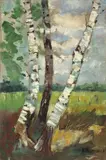 Karl Hagemeister, Birken