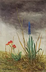 Franz Radziwill, Stilleben mit Primel und Zwerghyazinthe, 1937, Öl auf Holz