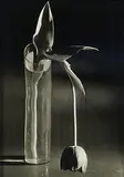 André Kertész, Melancholic Tulip