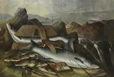 Kell, The day's catch, extensive damage
