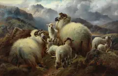 R* Watson, Sheep in Highland landscape