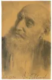 Adolph von Menzel, Kopf eines alten Mannes mit Bart