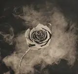 Robert Mapplethorpe, A Season in Hell