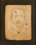 Derrick Guild, Wasp Drawing, United Kingdom
