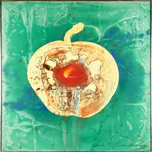 Apple by Robert Beauchamp, sold Nov 2017