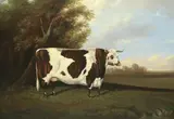 A prize longhorn cow by English School, oil on panel, sold Oct 2019