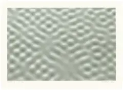 Haut I by Gerhard Richter, 2004, Serigrafie und frequenzmodulierter Offsetdruck auf Velin, sold Jun 2018
