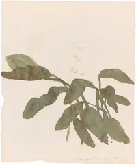Norbert Schwontkowski, Ohne Titel, 2000, Öl auf Papier
