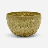 Adam Silverman, Bowl