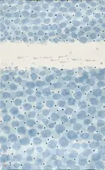 Chen Jialing, Fish