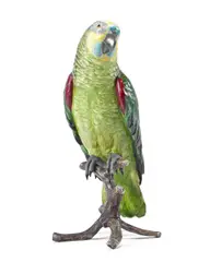 Franz Bergman, large cold painted bronze model of a parrot, cold painted bronze