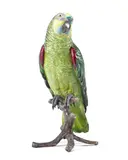 Franz Bergman, large cold painted bronze model of a parrot, cold painted bronze