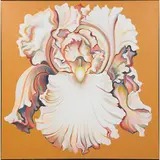 Lowell Nesbitt, Iris on Gold
