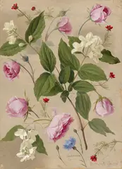 Rosen, Kornblume, Jasmin und Adonisröschen by Adolf Senff, 1826, Öl auf Papier, auf Pappe aufgezogen, sold Nov 2015