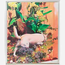 Christoph Schmidberger, Beverly Hills Dog, Austria/USA