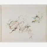 Darina Karpov, Untitled