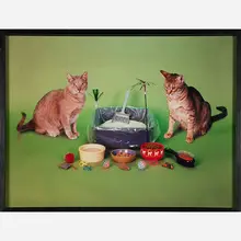 Neil Winokur, Cats