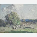 George M. Bruestle, Untitled (Stony Hillside)