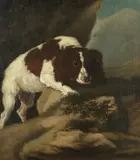 Adriaen Cornelisz Beeldemaker, A spaniel in a landscape, oil on canvas