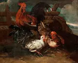 called il Crivellone Angelo Maria Crivelli, Cockerels and a hen in a landscape, oil on canvas