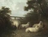 Edward Robert Smythe, Sheep resting before a gate, oil on canvas