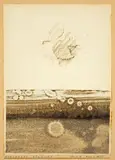 Max Ernst, Une traversée blanche et brune, 1960, Frottage und Kohle auf Papier, vom Künstler auf Karton montiert