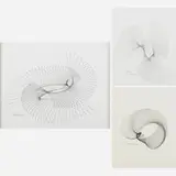 Konrad Cramer, Untitled (Synpalmographs), Germany/USA