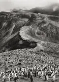 Antarctica“, Chinstrap Penguins Colony by Sebastião Salgado, 2005, Silbergelatineabzug, sold Nov 2011