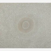 Elaine Wesley, Mist and the Sea