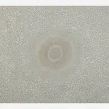Elaine Wesley, Mist and the Sea