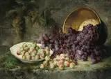 Léon Alfred Benoit, Damsons and greengages, oil on canvas