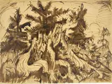 Ernst Ludwig Kirchner, Baumstumpf vor Arvengruppe. Wohl vor 1919, Tuschpinsel und -feder auf gelblichem Papier, auf Karton aufgezogen