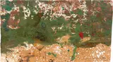 Hermann Nitsch, Ohne Titel (Nr. 42), 1990, Öl und Mischtechnik auf Papier, auf Karton aufgezogen