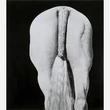 Steven Klein, Centurian 02 (White Braided Tail)