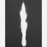 In Praise of Shadows by Hiroshi Sugimoto, Japan, sold Nov 2016