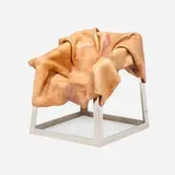 Simon Hasan, Chair, 2010, boiled leather, resin, stainless steel
