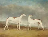 John E. Ferneley, Greyhounds in a landscape, oil on canvas
