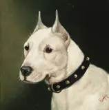 Edward Aistrop, A portrait of a Jack Russell terrier; A potrait of an English white terrier (a pair), both oil on board