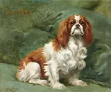Georges Louis Charles Busson, Prince-John, a portrait of a Blenheim spaniel, oil on canvas