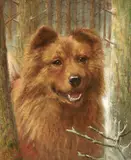 Richard S. Moseley, Chow-chow in a forest, oil on canvas