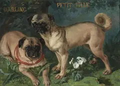 Charles Nogaro, Darling and Petit-Fille, a portait of two pugs, oil on canvas