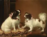 English toy spaniels adorned with pink ribbons by English School, oil on canvas, sold Nov 2018