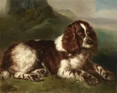 Walter Harrowing, A springer spaniel resting in a landscape, oil on canvas