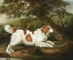 Henry Bernard Chalon, Quaile, an English spaniel in a wooded landscape, oil on canvas