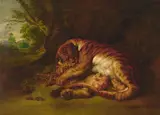 Peter Paul Rubens, A tigress suckling her cubs, oil on canvas
