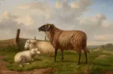 Eugène Verboeckhoven, Three sheep in a meadow with a village beyond, oil on canvas