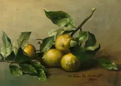Pál Böhm, Stilleben mit Zitronen, 1902, Öl auf Leinwand