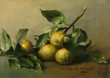Pál Böhm, Stilleben mit Zitronen, 1902, Öl auf Leinwand