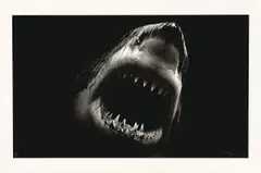 Bruce by Robert Longo, 2014, Pigmentdruck auf Papier, sold Dec 2016
